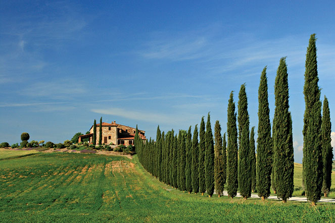 Photograph of Tuscan countryside.